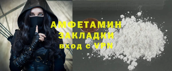 сатива Козловка
