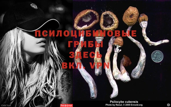 твердый Кодинск
