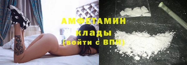 сатива Козловка